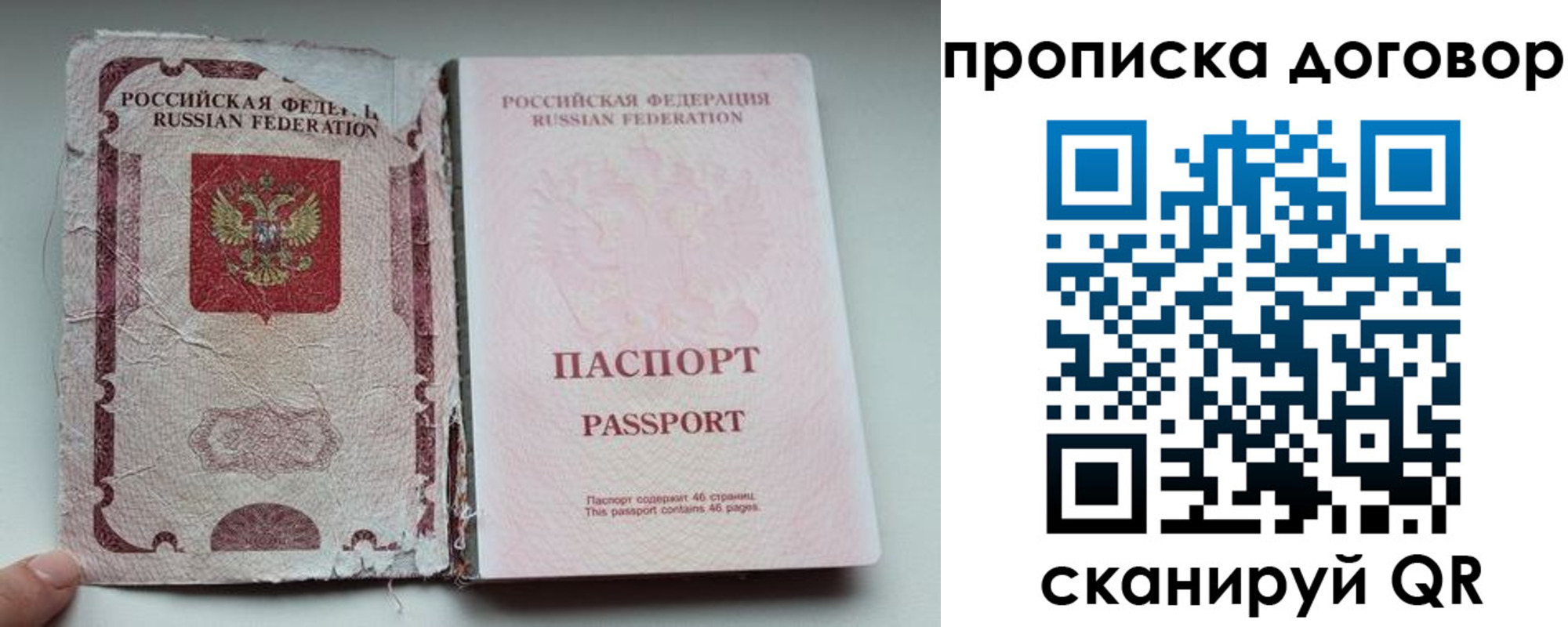 прописка поиск в Коле